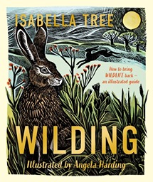 Wilding by Isabella Tree, illustrated by Angela Harding
